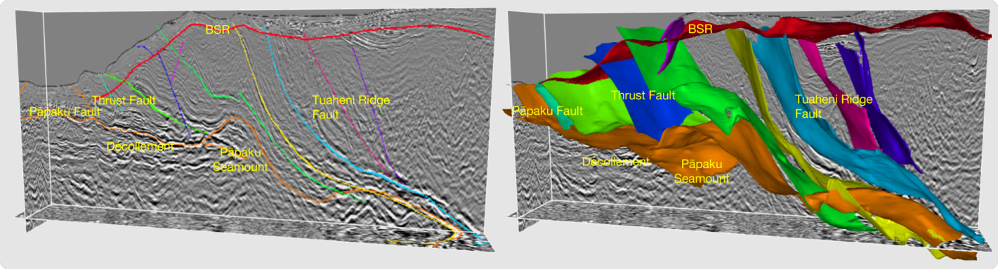 Hikurangi Fault